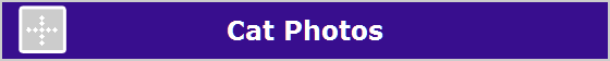 Cat Photos