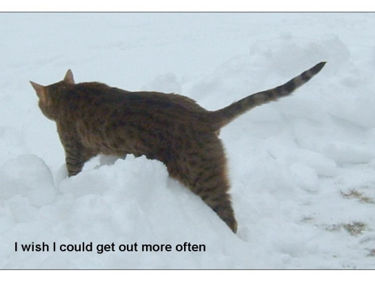 Slide15