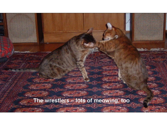 Slide17