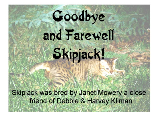 Slide22